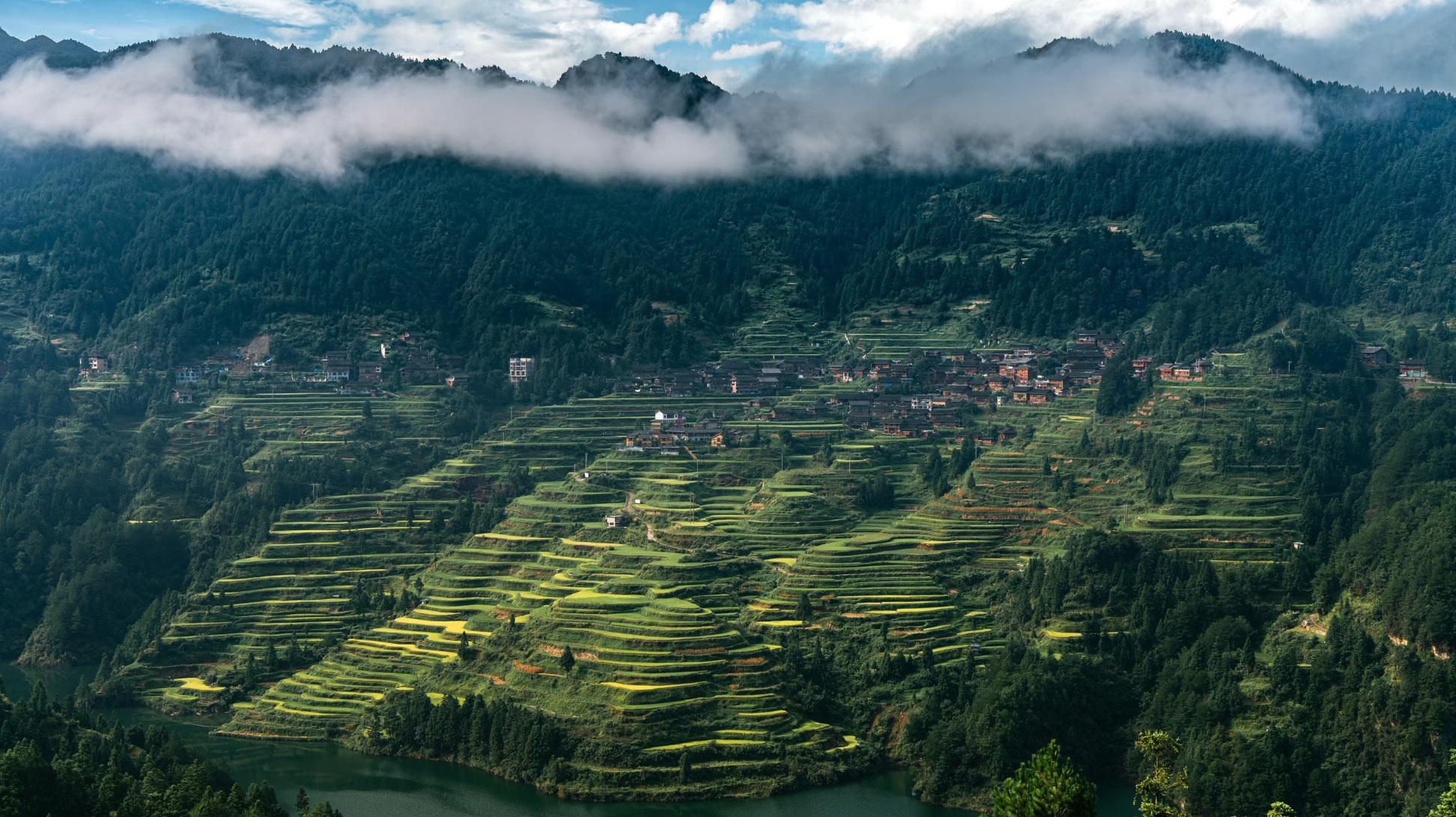 Guizhou