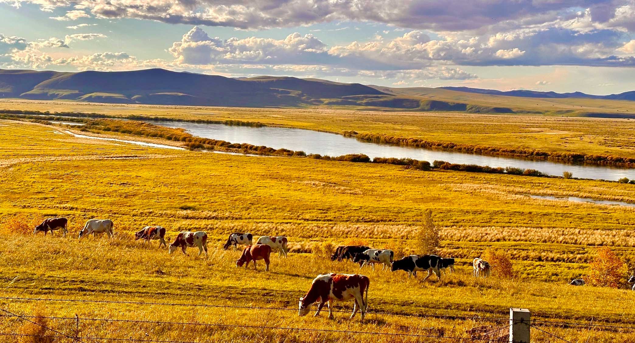 Hulunbuir