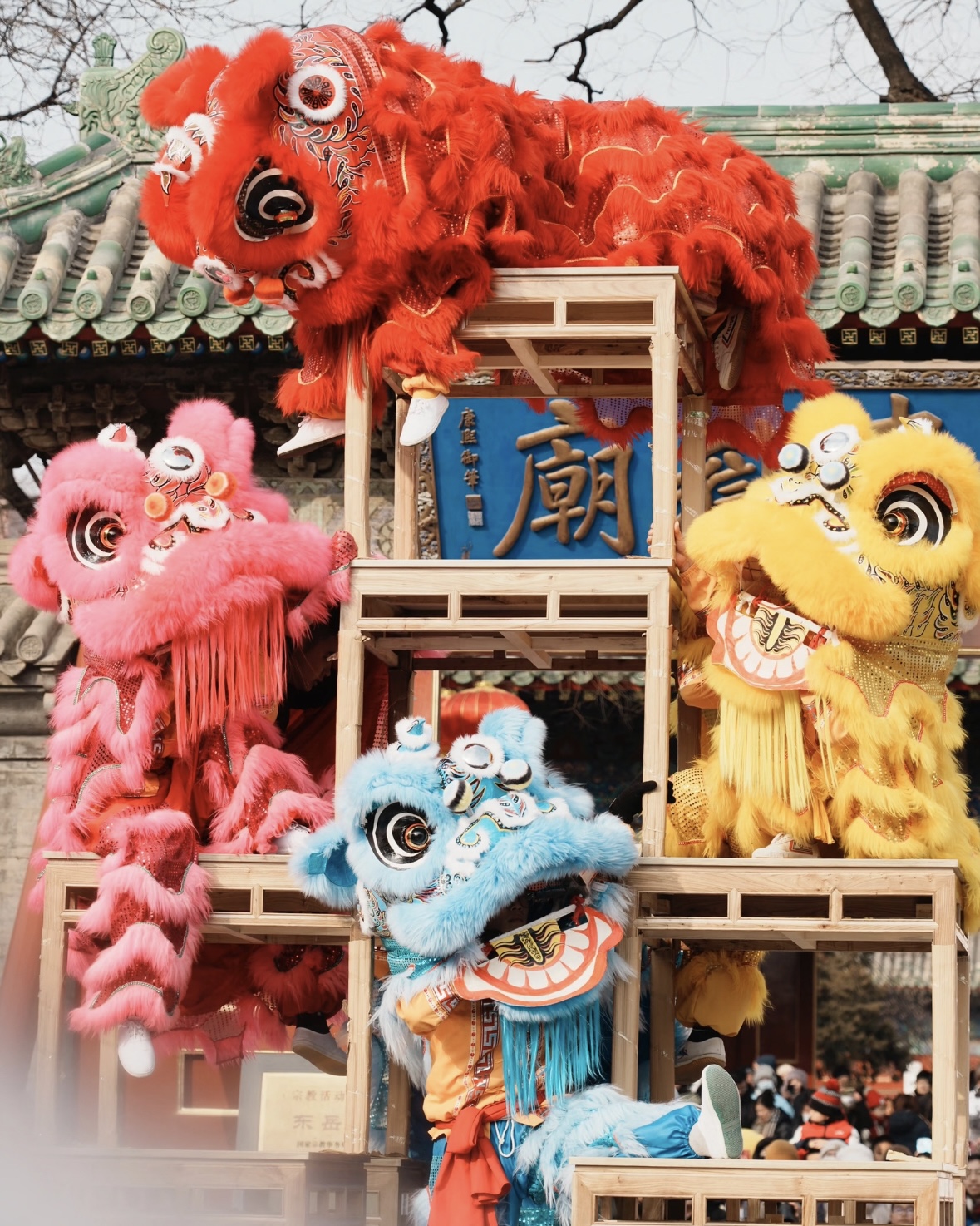 Food&Culture-舞龙舞狮2.jpg